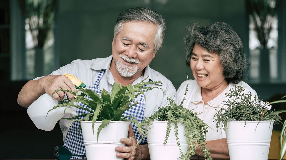 group activity, promoting social engagement and well-being